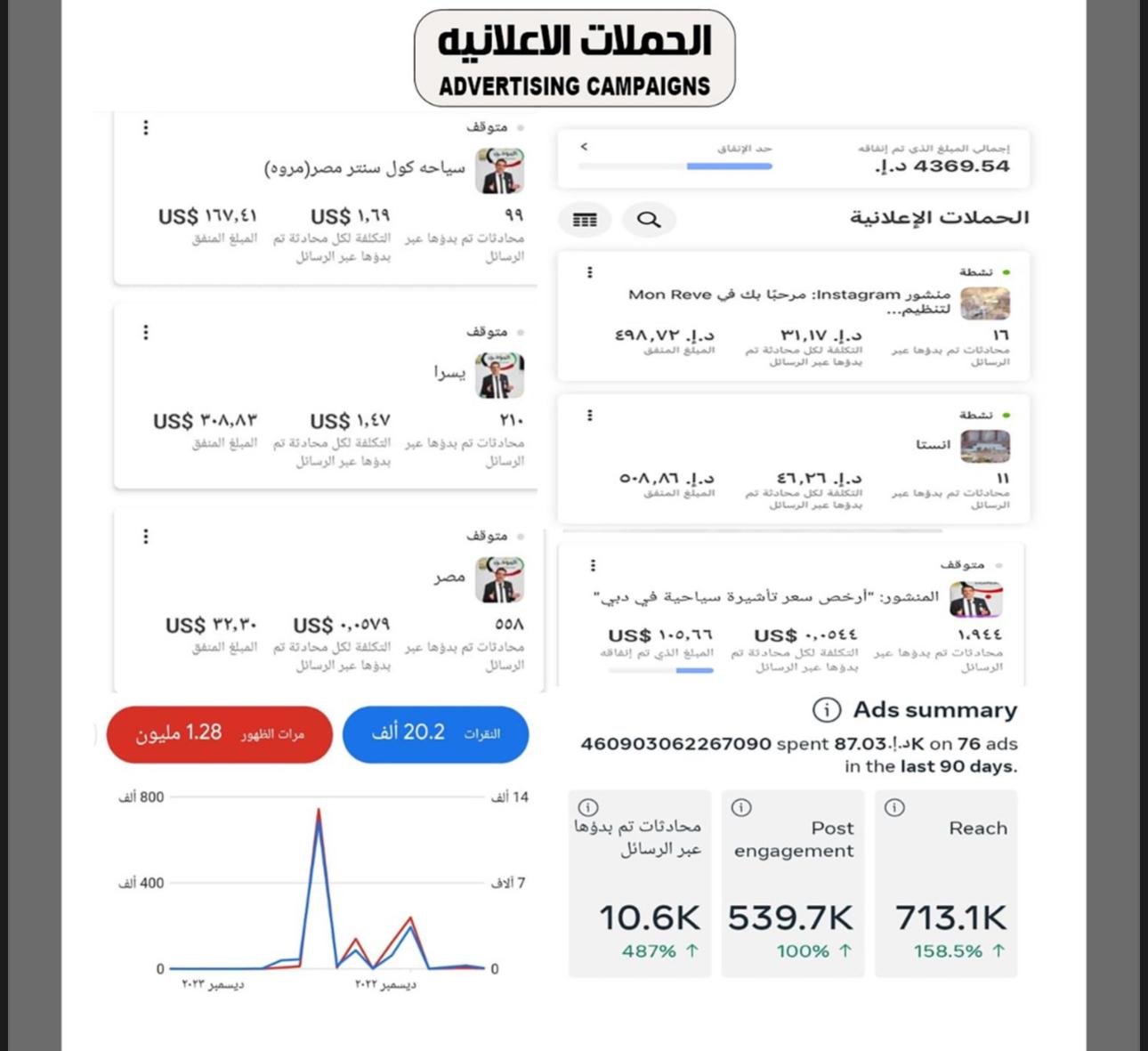 Meta Ads Campaign - Image 4